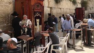 Visiting Israel—The Western (Wailing) Wall.