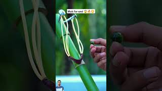 Wait for end 😱🔥😳 #bamboo #archery #bambooshoot #bamboogun #nature #bamboohut #bamboobamboo #diy