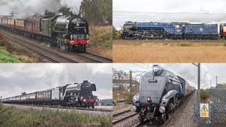 The LNER Pacifics - A1, A2, A3 & A4!