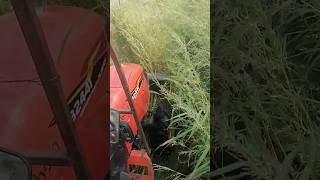 Kubota 2441 #viralshorts #tranding #viralvideo #farmequipment #farming #villagelifeblog #agrilife