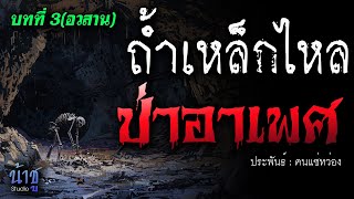 ป่าอาเพศ บทที่ 3 ถ้ำเหล็กไหล(อวสาน) | นิยายเสียง🎙️น้าชู