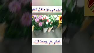 تعالا نتمشي شوي في وسط البلد 💓