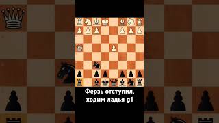 Выигрываем ФЕРЗЯ за ЧЕРНИХ #шахмати #chess #ловушка #шахматы #мат #шахи