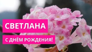 С ДНЁМ РОЖДЕНИЯ СВЕТЛАНА | Видео поздравление Свете | Поздравления по именам