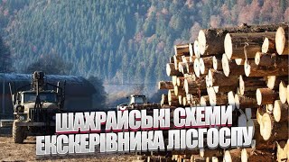 Свавілля екскерівника Свалявського лісгоспу