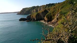 Pointe Le pommier Nature Bretagne Nord