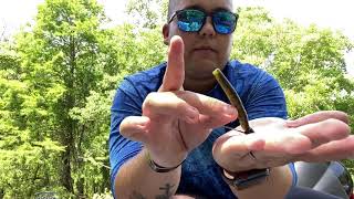 Having trouble catching Bass try these tips ! JRTC Fort Polk