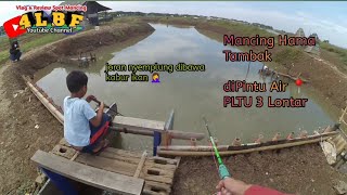 Edyaann !! Joran sampe Hanyut dibawa ikan📍di Tambak Selatip Pltu Lontar