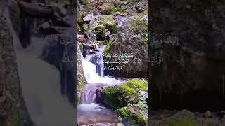 القرآن الكريم سورة البقرة🌺المنشاوي🌸 ذَٰلِكَ الْكِتَابُ لَا رَيْبَ ۛ فِيهِ ۛ هُدًى لِّلْمُتَّقِينَ