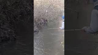 🔥🔥 Форель в Осетии #fishing #рыбалкавидео #радужка #trout #рыбалка