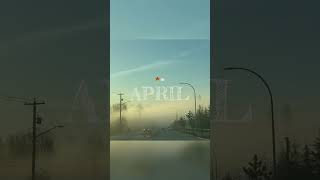 #april #britishcolumbia #canada2024 #sunrise #morning #music #youtubeshorts