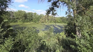 Дневник велосипедиста. Прогулка по Галерному Острову и вдоль Теплого Канала. Часть 2. 12 июля