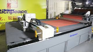 Richpeace Smart Fabric Library+ Automatic Cutting Production Line