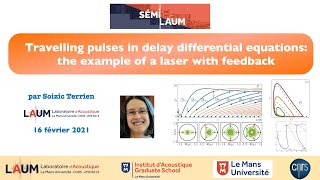 Semilaum - Travelling pulses in delay differential equations: the example of a laser with feedback