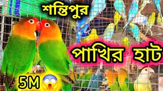 নদীয়ার সবচেয়ে সস্তা পাখির হাট 🐦🦜||  Cheapest Birds Market in নদীয়া || Birds Price in Kolkata🦜WB