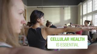 HERBALIFE INFO - Nourishing the body at the cellular level: "F3 Cell Activator®", Targeted Nutrition