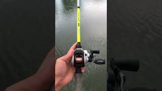 Best Budget Fishing Rod On The Market!!