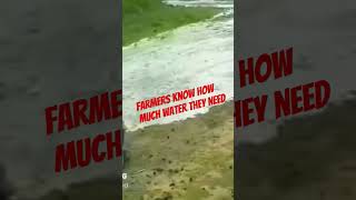 farmers is allways important #video #vira #trending #tranding #trend #reels #youtubeshorts