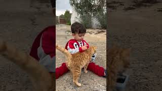 Cat with little boy 😺 #cat #babyboy | All top YouTube channel