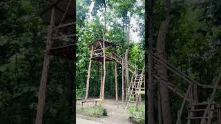 Indian forest riverbeauty #viral  #video #forest #nature #naturelovers #nationalnews #entertainment