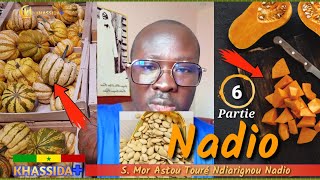 Ndiarignou [ Nadio Ak Limiy Safara ] ✅ 6 Ème Partie Par S Mor Astou Touré Touba