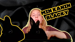 Min Kanin Blacky 🐰 Story Time