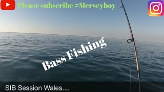 Sea Fishing - SIB Session North Wales #Bass Fishing  - Lure fishing