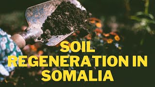 How smart agriculture in SOMALIA  is helping farmers regenerate the soil