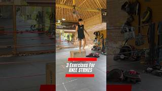 3 Exercises for KNEE STRIKES! 🔥 #ubudmuaythai #kneestrength #muaythai #combatsport #muaythaibali