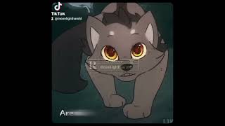 Ying and yang #warriorcats #yingyang #ship #edit #cat #cute #firepaw #greypaw