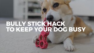 The BEST Way To Keep Your Dog Busy | BULLY STICK HACK