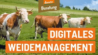 Digitales Weidemanagement | Praxisforschungsprojekt GrazyDaiSy | Teil 2