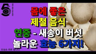 몸에 좋은 제철 음식 연중 - 새송이 버섯 놀라운 효능 6가지!