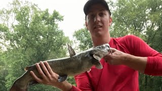 Rollin On the River Ep. 3 - (Channel Cat Madness)  Big Darby Creek