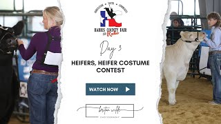 Harris County Fair and Rodeo 2023 - Heifers, Heifer Showmanship