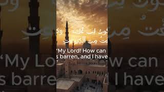 Beautiful Quran Recitation. #quran #reels #recitation #trending #viral #surah #quranictranslation