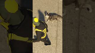 Robber walking with Husky #gtaonline