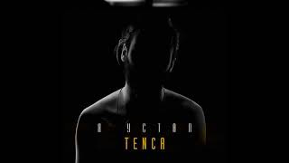 TENCA-ya ustal/2019/