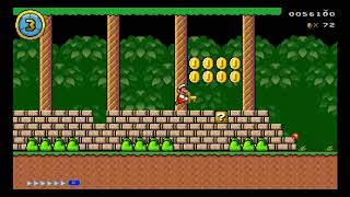 Mario Editor (ME) Custom Level - Rescue the Princess