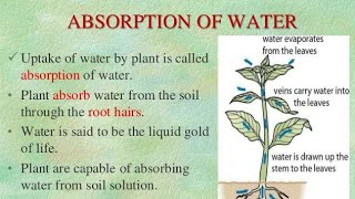 Absorption of Water/ Composition of the Soil and Soil Particles/ Plant physiology notes for BS/BSC