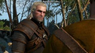 The Witcher 3: Wild Hunt Прохождение  Пропавший без Вести