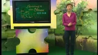 Growing up with chinese - Lesson 09/100 - Family