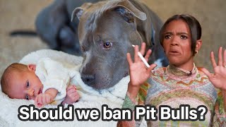 Should we ban Pit Bulls? @channelname456