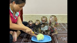 Faster Mom! Sister Sovanny Screaming Loud Very Angry Hurry Mom To Fast Slice Cabbage For Them To Eat