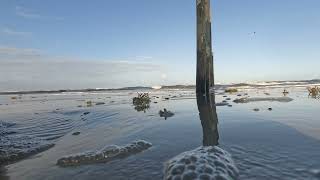 Ocean waves shoreline 🌊 sea birds, positive energy #natureinspired