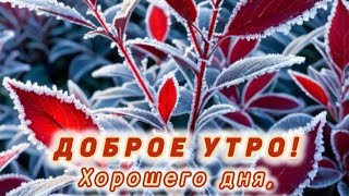 Доброе утро💞 Пусть день будет позитивным и удачным 💞💞