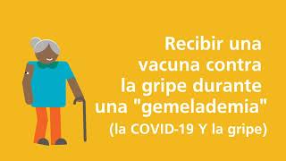 Dato sobre la gripe #3