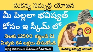 Sukanya Samridhi yojana 2023 in Telugu | Sukanya Samridhi yojana Scheme full details | ismart Ranga