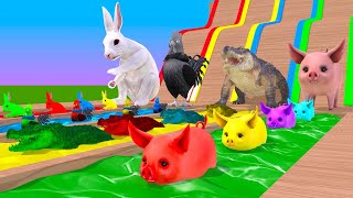 Chicken cartoon vs Rabbits, pigs, crocodiles playing in the colorful lake