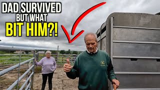 Dairy Cow Slips Calf AND Grandad Reveals WHAT Endangered Bit Him!?